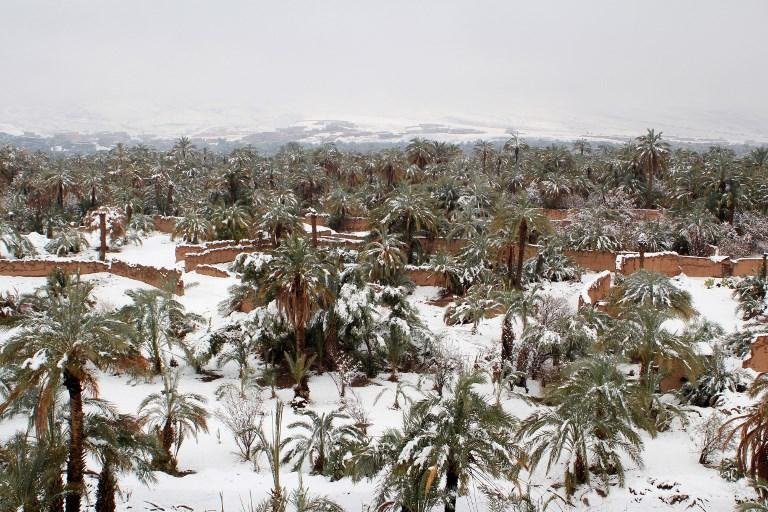 Deserto do Marrocos tem nevascas inesperadas 