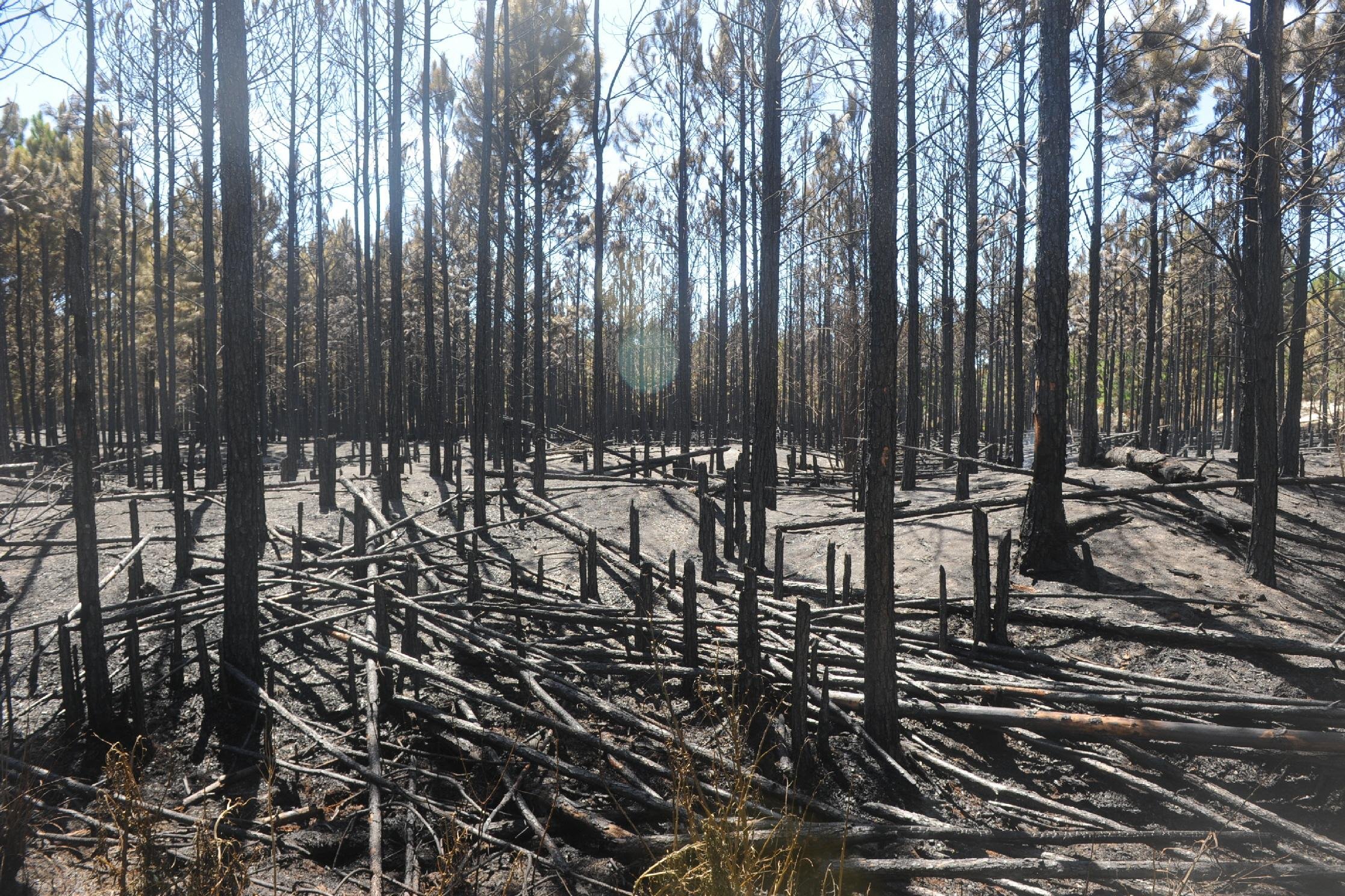 Inc&ecirc;ndio foi controlado ap&oacute;s quase cinco dias de combate &agrave;s chamas