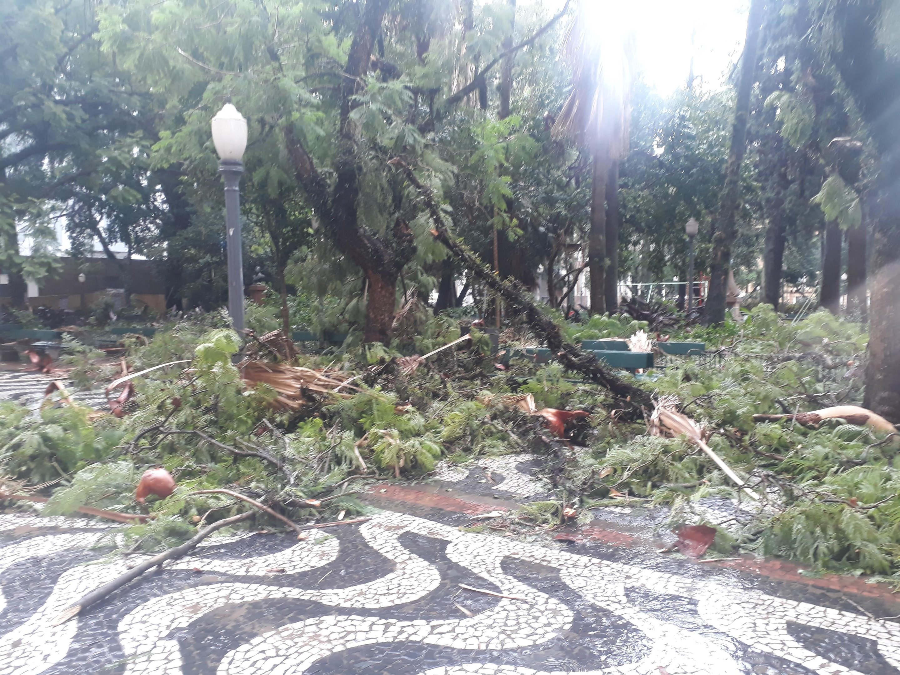 Temporal causou estragos em Porto Alegre