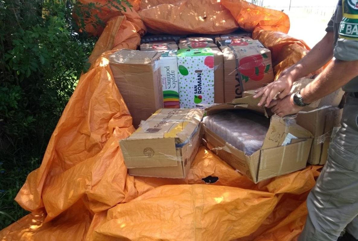 O camar&atilde;o estava separado em sacos pl&aacute;sticos de 1 quilo e sem refrigera&ccedil;&atilde;o