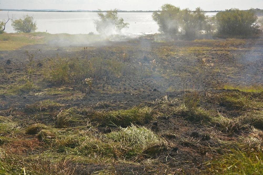 Vegeta&ccedil;&atilde;o pr&oacute;ximo ao Anfiteatro P&ocirc;r do Sol, na Orla do Gua&iacute;ba, foi atingida por um inc&ecirc;ndio 