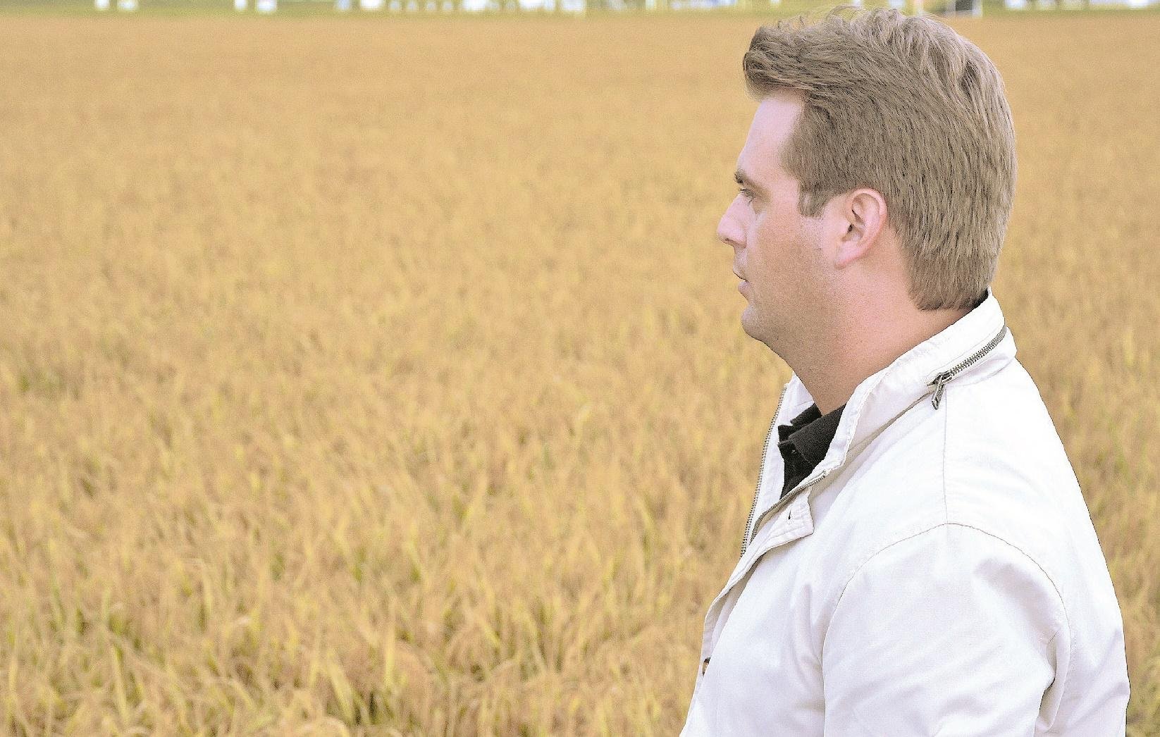 Problemas clim&aacute;ticos trazem preocupa&ccedil;&otilde;es para safra de arroz