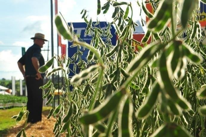 Agropecu&aacute;ria e extrativa mineral apresentaram alta
