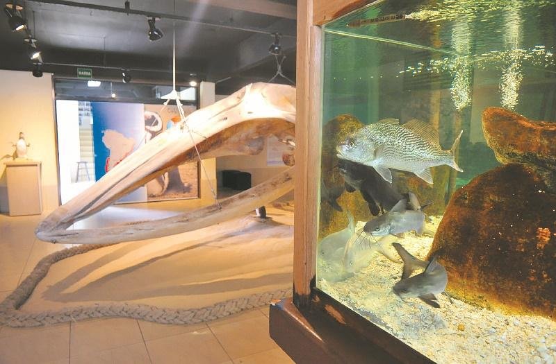 Exposi&ccedil;&atilde;o busca fazer com que seus visitantes possam compreender as riquezas da biodiversidade do Litoral