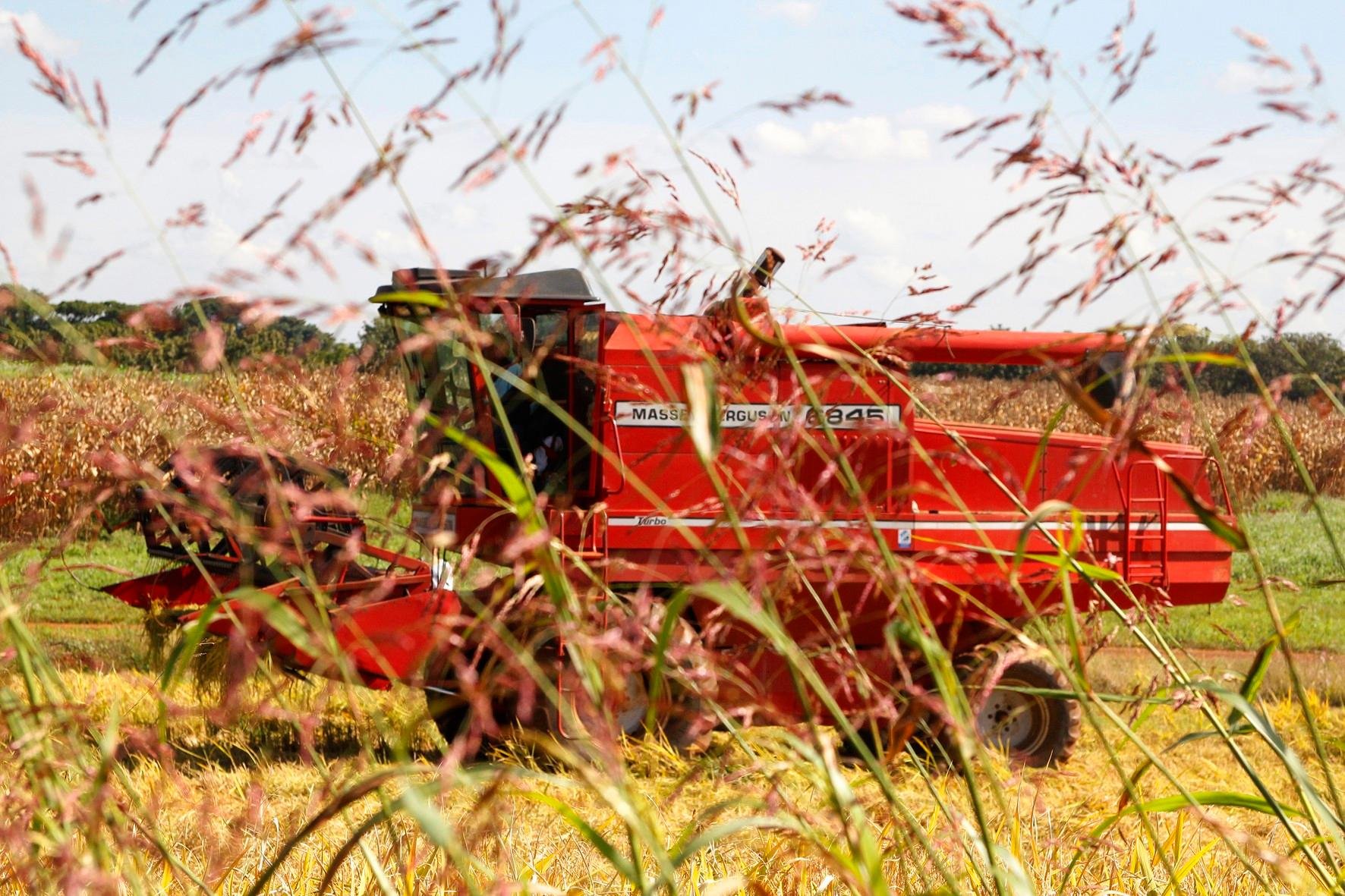 Primeiros resultados devem mostrar perfil do produtor rural