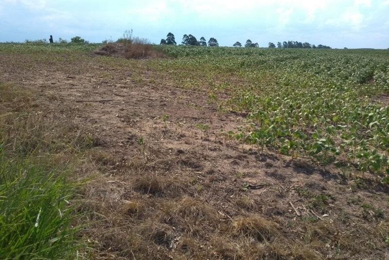Painel indicou formas de gerenciar recursos para evitar faltas de abastecimento de &aacute;gua