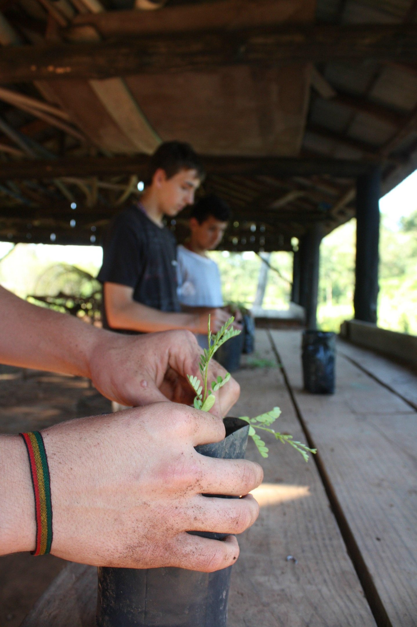 Em Campo Bom, a prefeitura promove o projeto Flora&ccedil;&atilde;o Hortas Urbanas