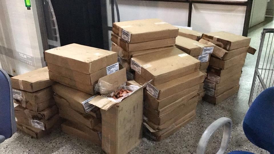 T&eacute;cnicos do Minist&eacute;rio da Agricultura ainda avaliam o destino da carga