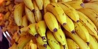Preço da banana subiu 7,13% em março
