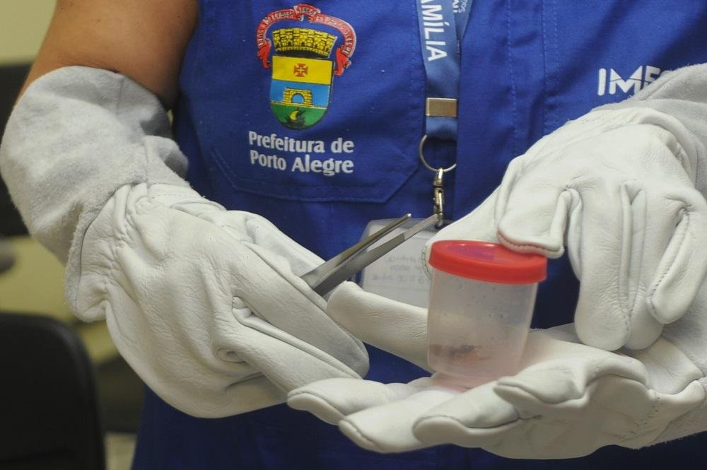 Agentes receberam luvas e pin&ccedil;as que podem ser utilizadas na captura de animais como o escorpi&atilde;o