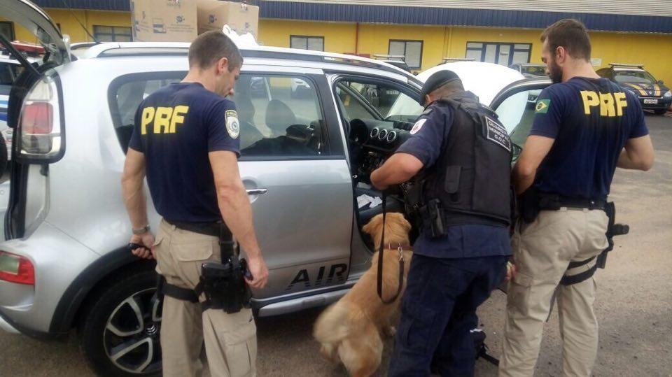C&atilde;o farejador colaborou em a&ccedil;&atilde;o que prendeu pai e filho por tr&aacute;fico