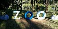 Entrada livre no Zoo de Sapucaia cria fila de carros até São Leopoldo