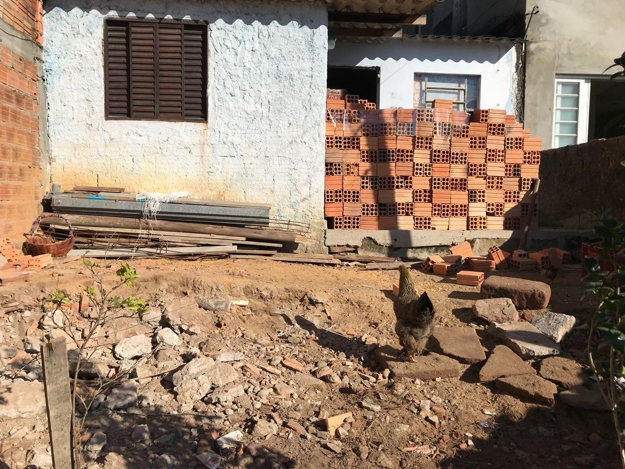 Um dos estabelecimentos funcionava no mesmo local que um galinheiro