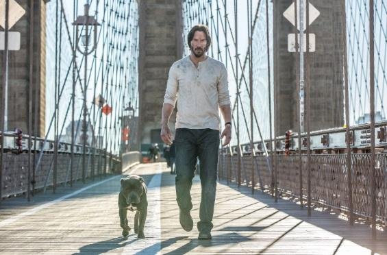 Fotos dos bastidores de "John Wick 3" mostram Keanu Reeves e seu c&atilde;o