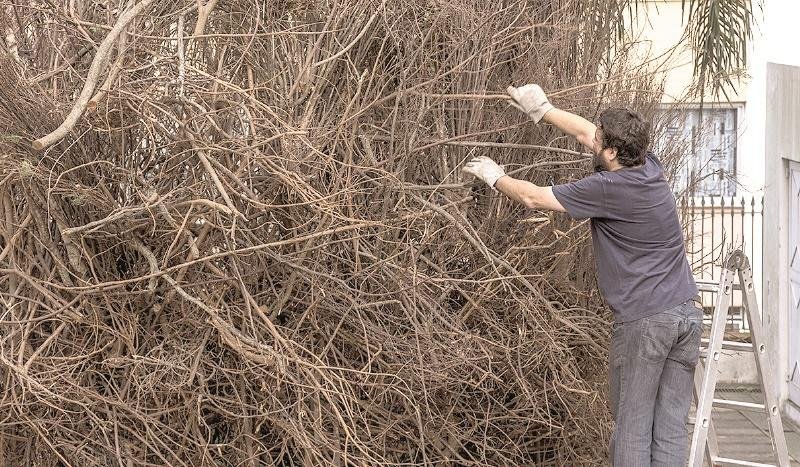 Bebeto Alves assina filme sobre o processo criativo do artista local