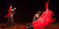 Evento tem o objetivo de promover a cultura flamenca