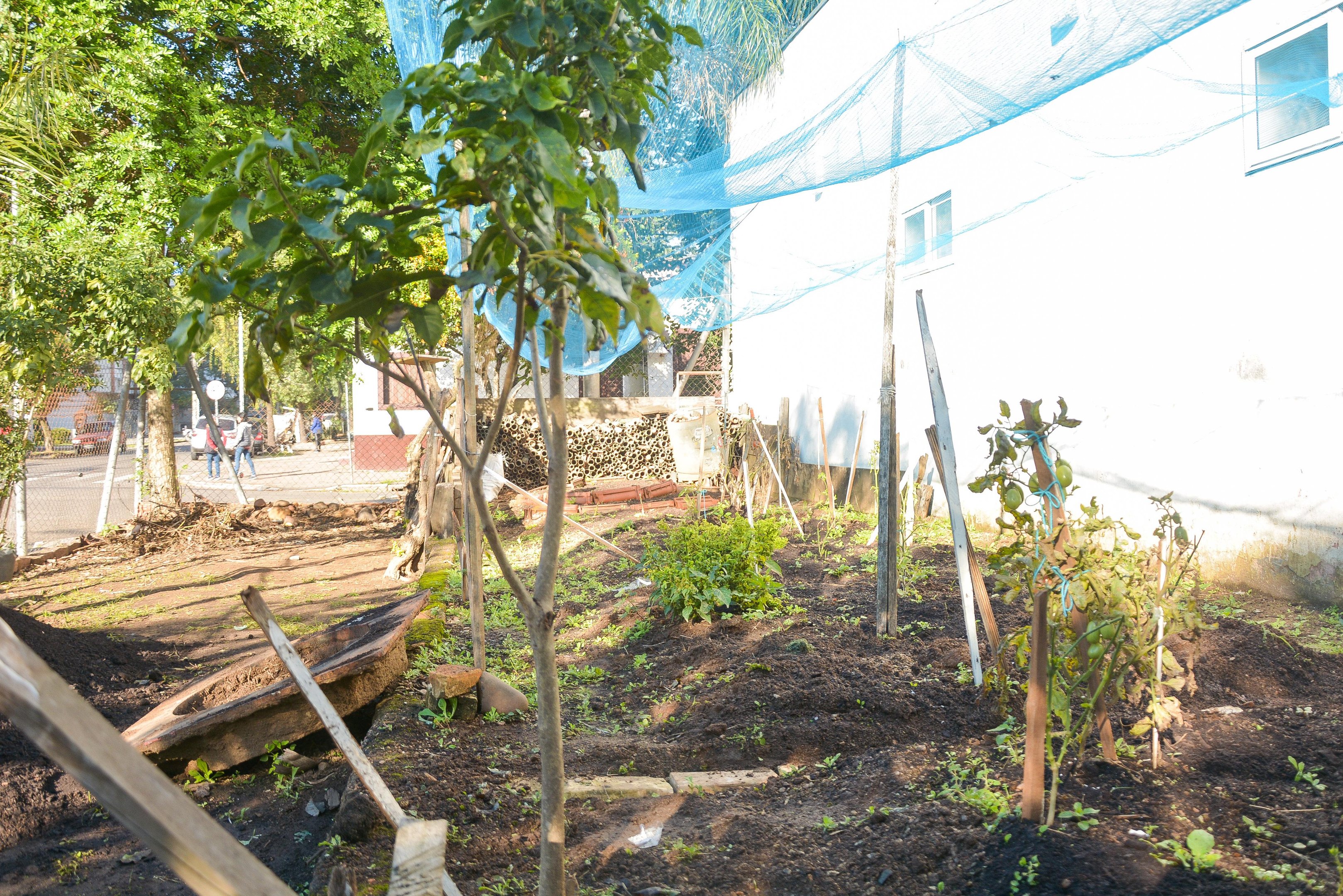 Moradores da Cidade Baixa contam com ajuda de volunt&aacute;rios e criam horta comunit&aacute;ria