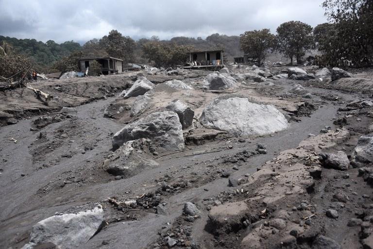 At&eacute; o momento, 110 mortes foram confirmadas