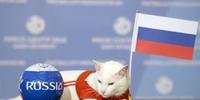Gato Aquiles prediz que Rússia vencerá no jogo de estreia do Mundial