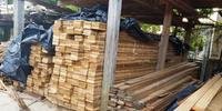 Carga de madeira recuperada em Porto Alegre
