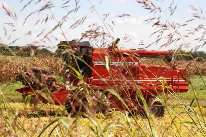 PIB caiu 0,4% no trimestre finalizado em abril, diz FGV