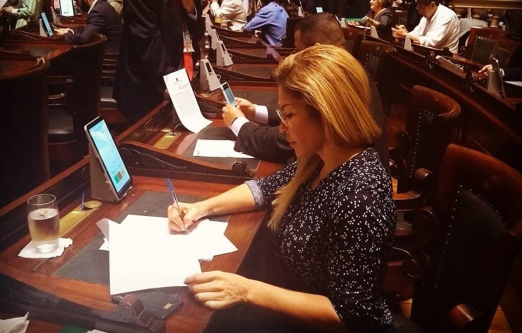Vereadora Ver&ocirc;nica Costa, conhecida como "M&atilde;e Loira do Funk" protocolou o projeto