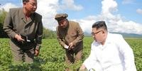Kim teria instruído os agricultores a plantarem batatas de alto rendimento