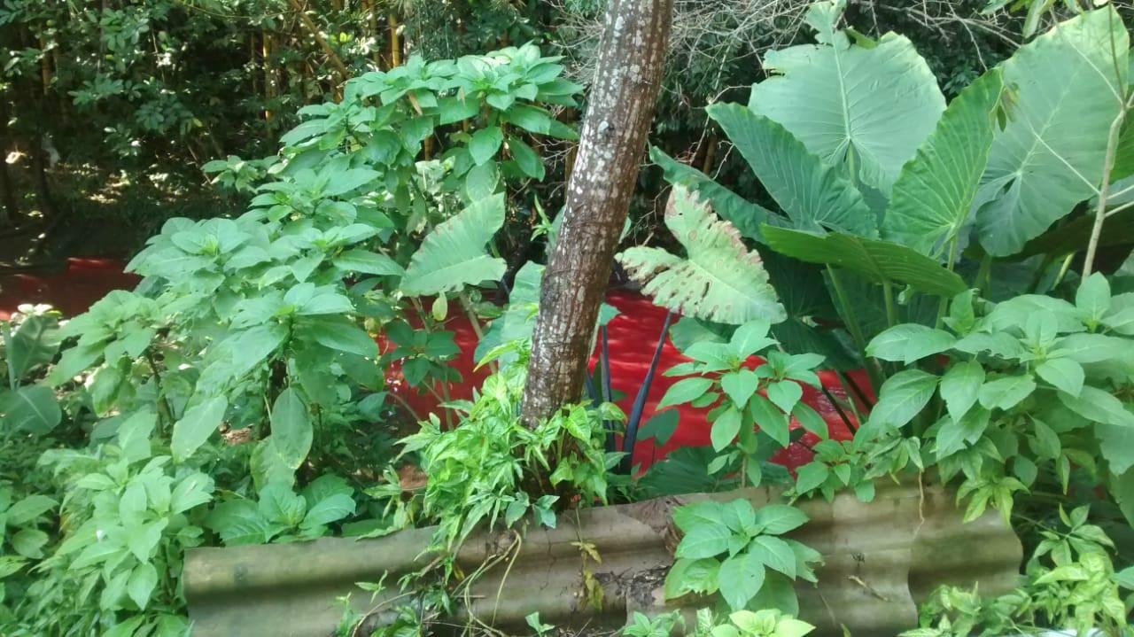 Moradores identificaram a altera&ccedil;&atilde;o nessa quarta-feira