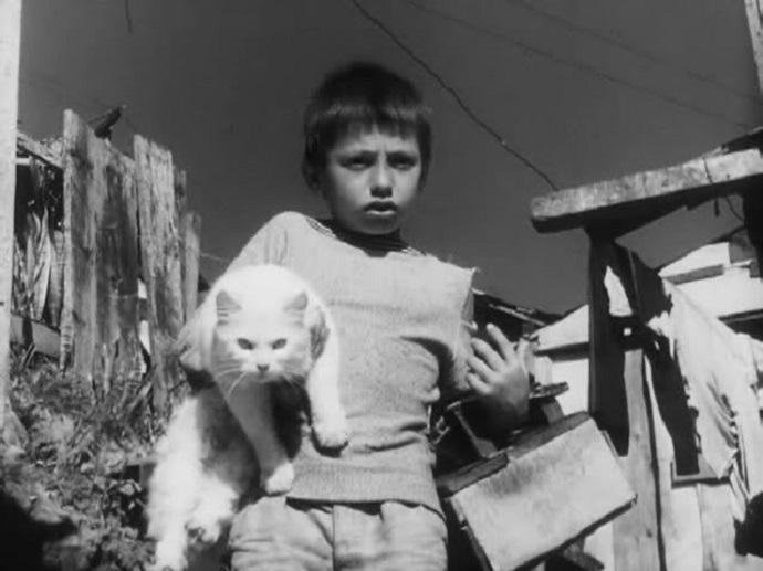 "Couro de Gato", de 1961, &eacute; um dos filmes selecionados para a sess&atilde;o