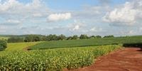 Censo mostra aumento da área destinada à agricultura no país