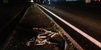Ciclista morreu atropelada na noite desta quinta-feira em Montenegro
