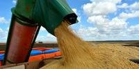 Demanda internacional por soja sustenta preços no Brasil 