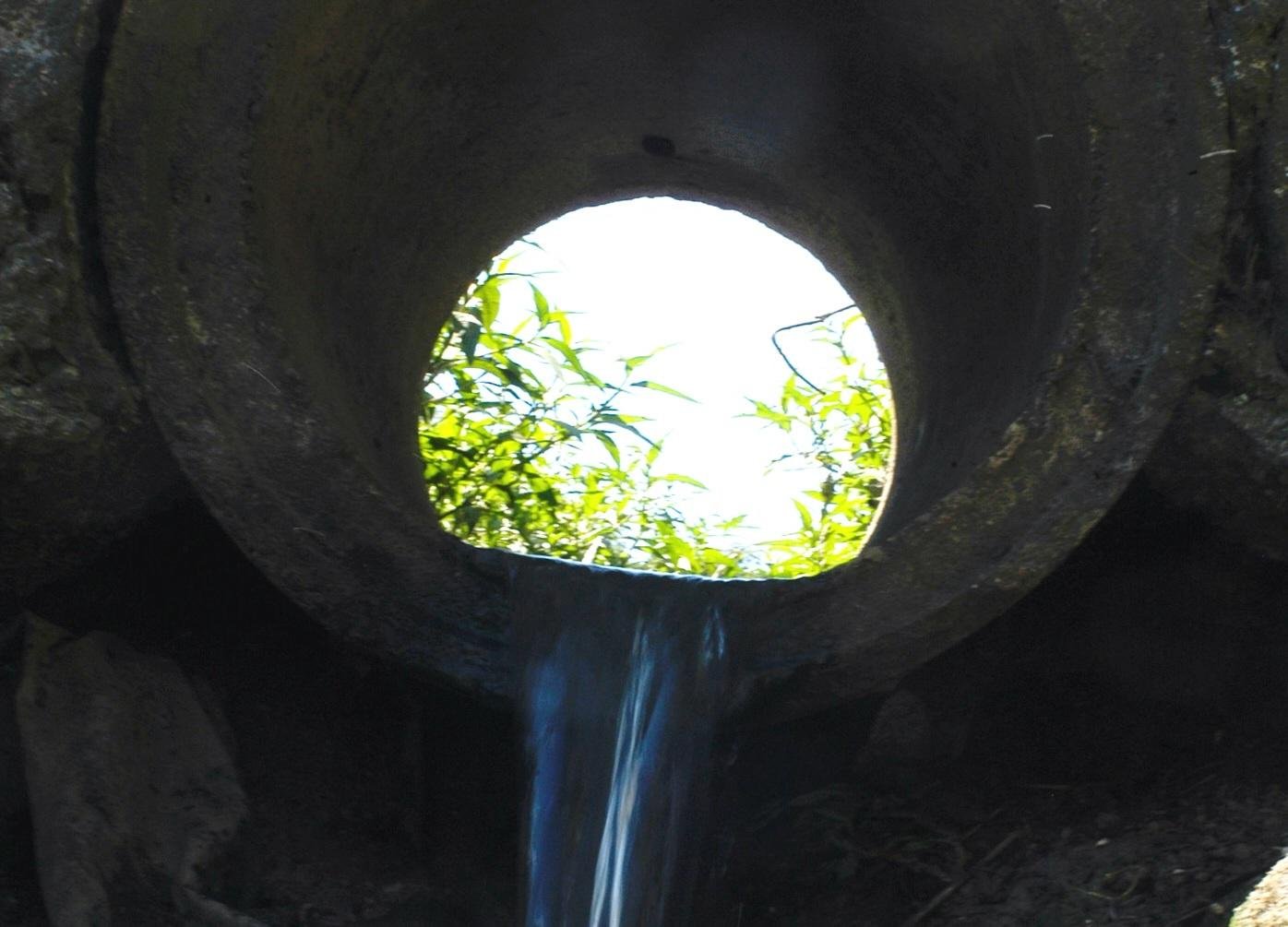 Dia 1&ordm; de agosto marcou momento em que popula&ccedil;&atilde;o passa a usar mais do que a natureza pode gerar