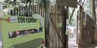 O zoo funciona dentro do Parque Getúlio Vargas