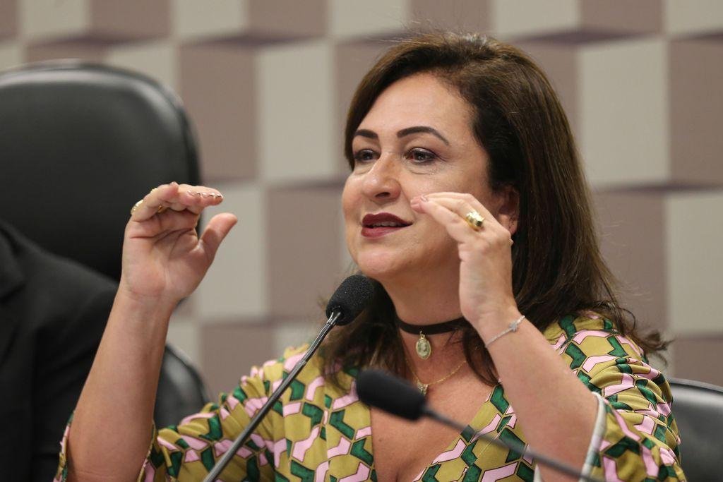 K&aacute;tia Abreu ser&aacute; a candidata a vice na chapa de Ciro Gomes