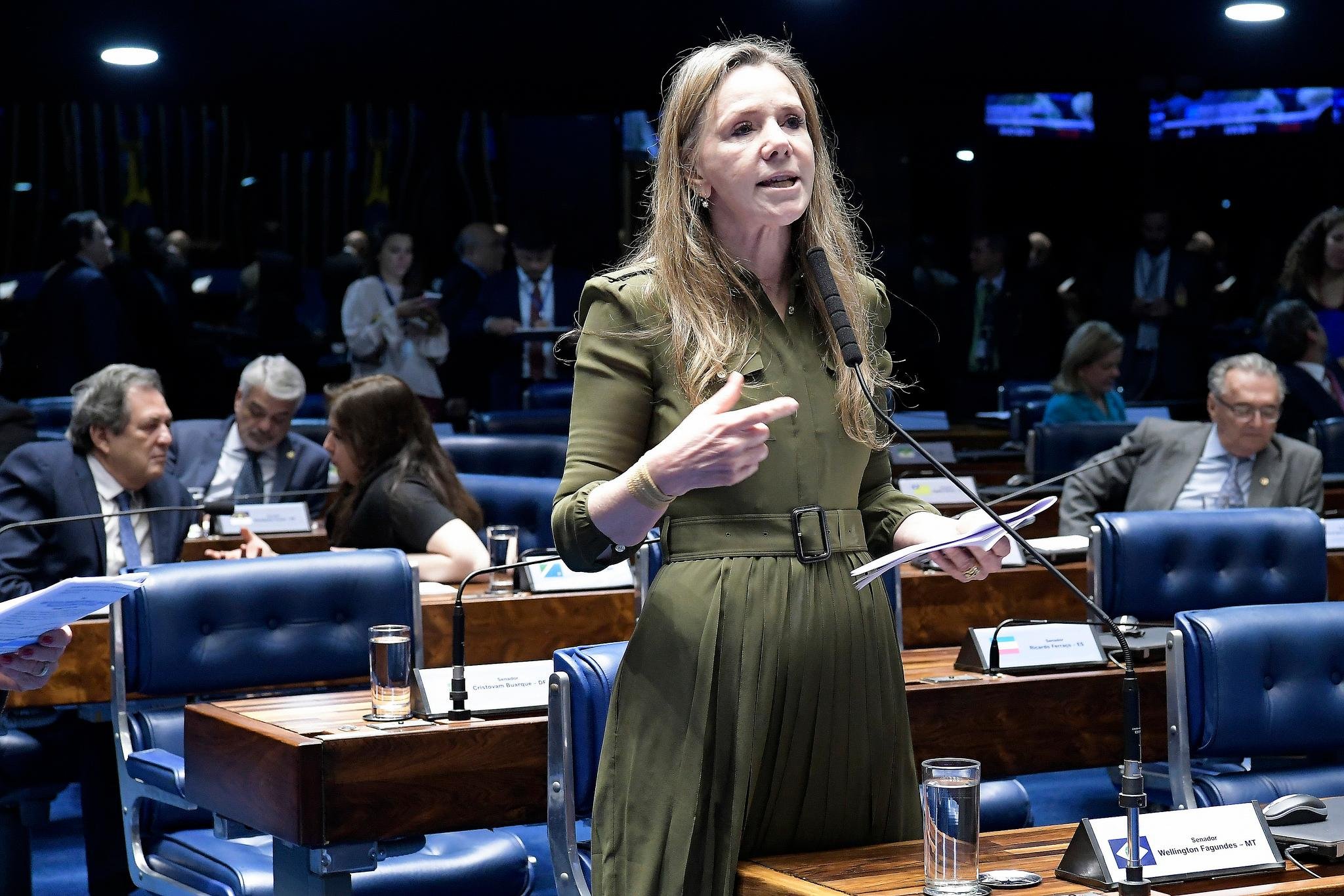 Texto aprovado &eacute; um substitutivo da C&acirc;mara a um PL proposto pela senadora Vanessa Grazziotin