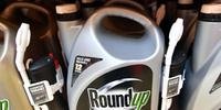 Bayer defende glifosato após condenação da Monsanto por herbicida Roundup