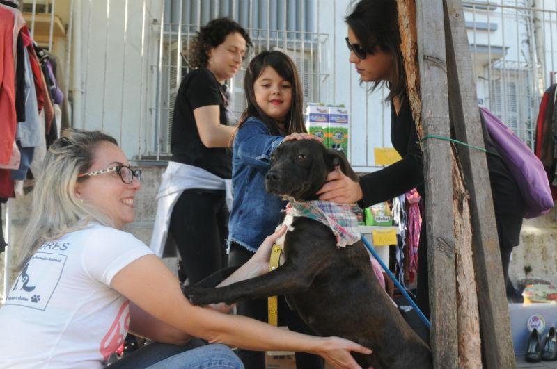Capital teve s&aacute;bado repleto de atividades para animais de estima&ccedil;&atilde;o