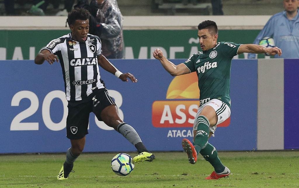 Palmeiras venceu o Botafogo em casa