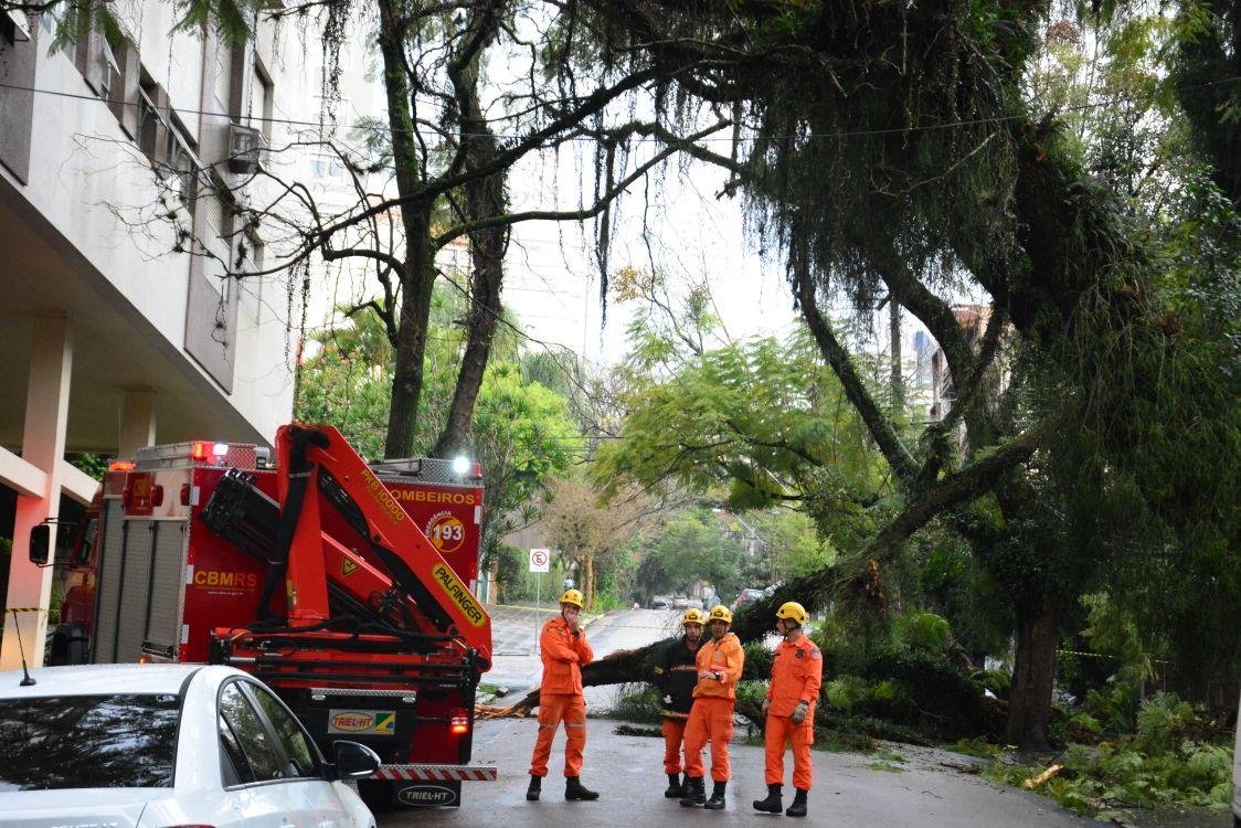 &Aacute;rvore bloqueia a rua Castro Alves, no bairro Rio Branco	