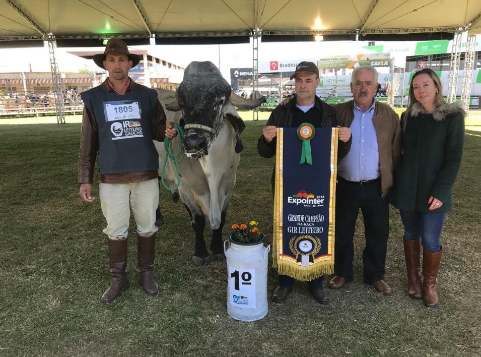 Diamante &eacute; o campe&atilde;o da ra&ccedil;a Gir Leiteiro na Expointer 