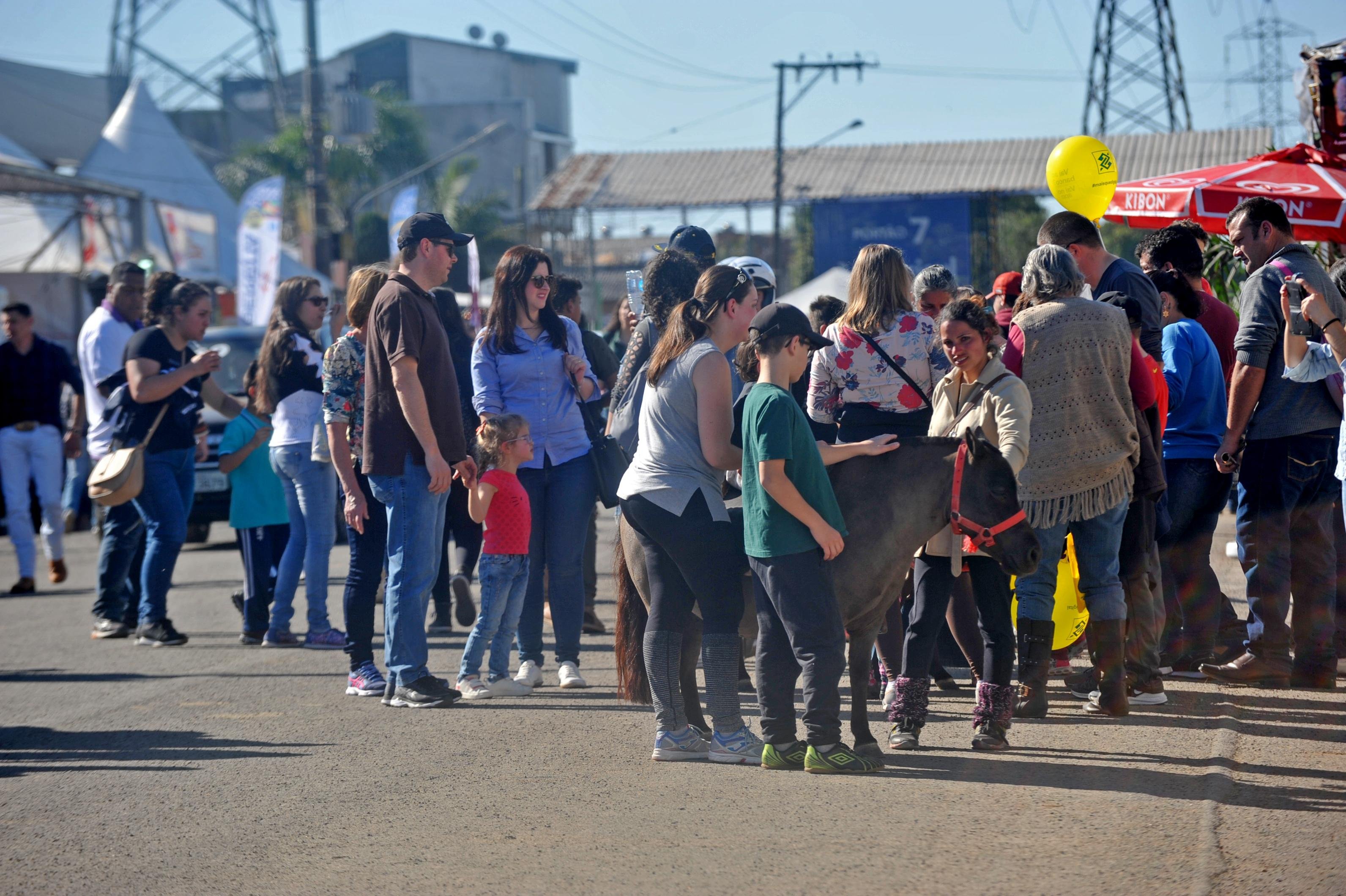 Comiss&otilde;es e associa&ccedil;&otilde;es realizam diversos eventos para aproximar o p&uacute;blico da atividade rural