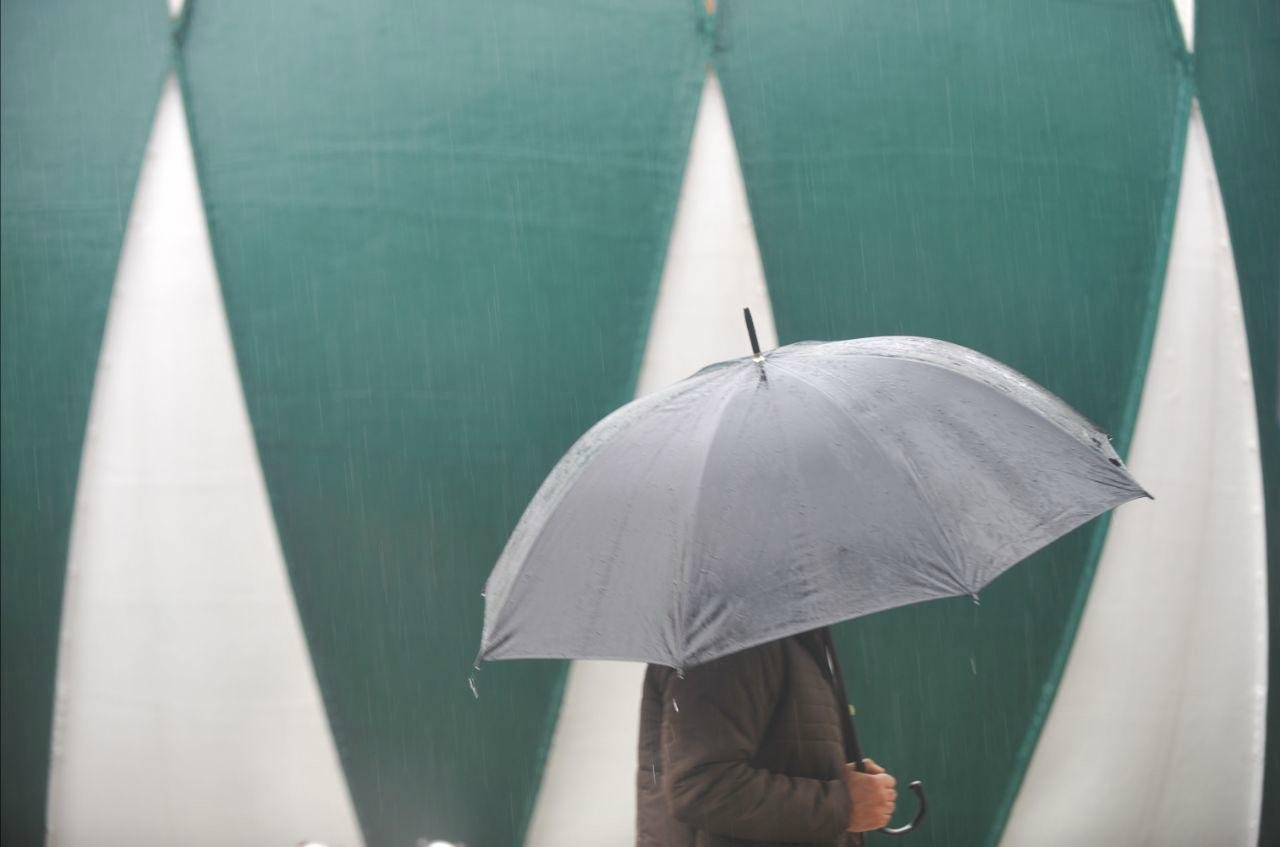 Terceiriza&ccedil;&atilde;o do Parque Assis Brasil n&atilde;o &eacute; consenso