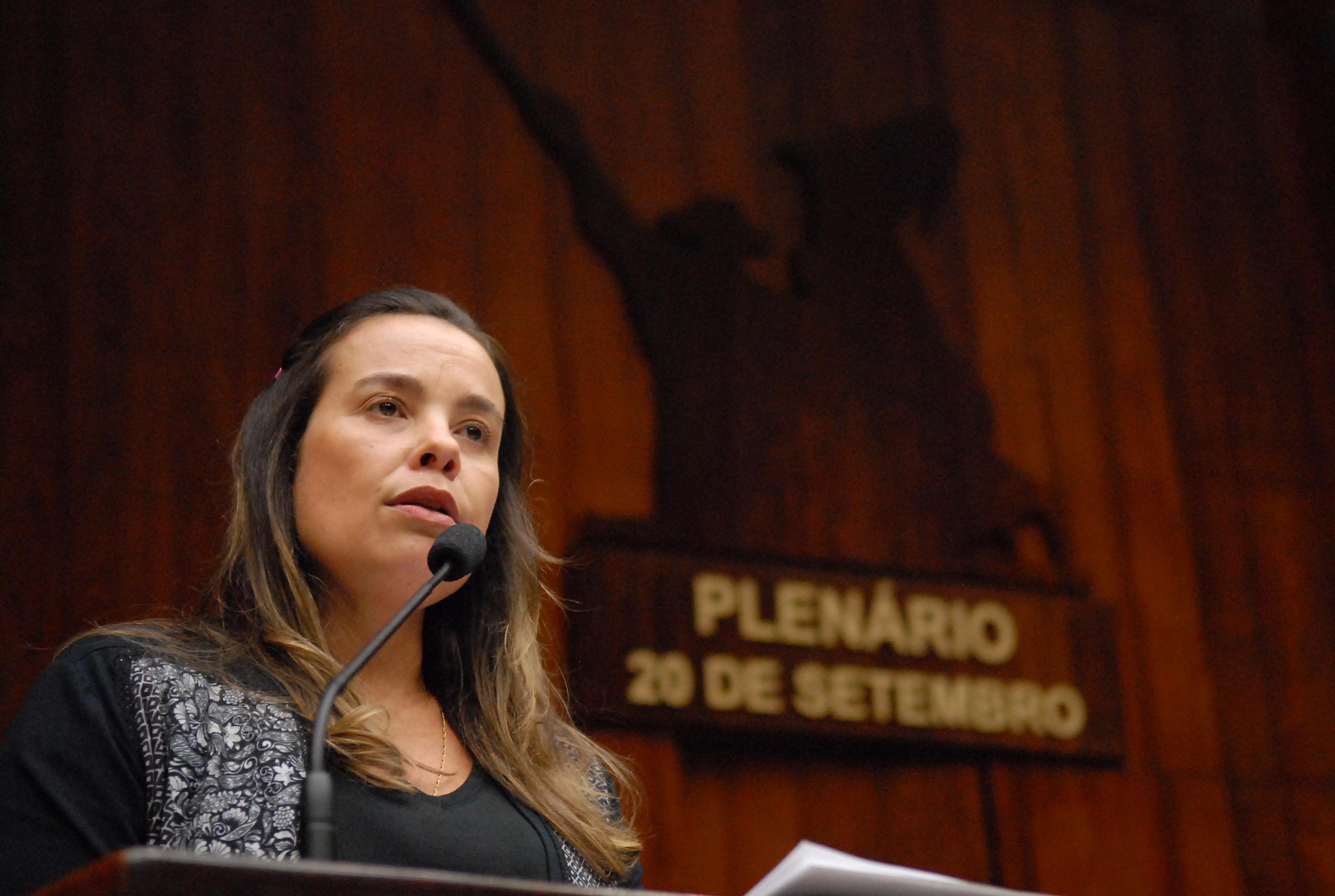 Texto tem autoria de Juliana Brizola e deve ser alidado ap&oacute;s aprova&ccedil;&atilde;o em segundo turno