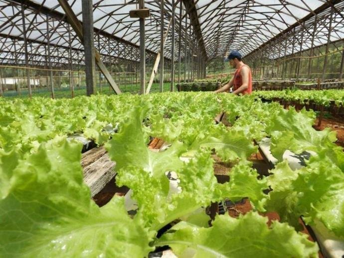 Acordo prev&ecirc; tamb&eacute;m pol&iacute;ticas voltadas para o desenvolvimento da produ&ccedil;&atilde;o org&acirc;nica