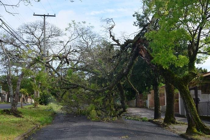 Ventos de at&eacute; 83km/h derrubam &aacute;rvores e destelham casas em Porto Alegre