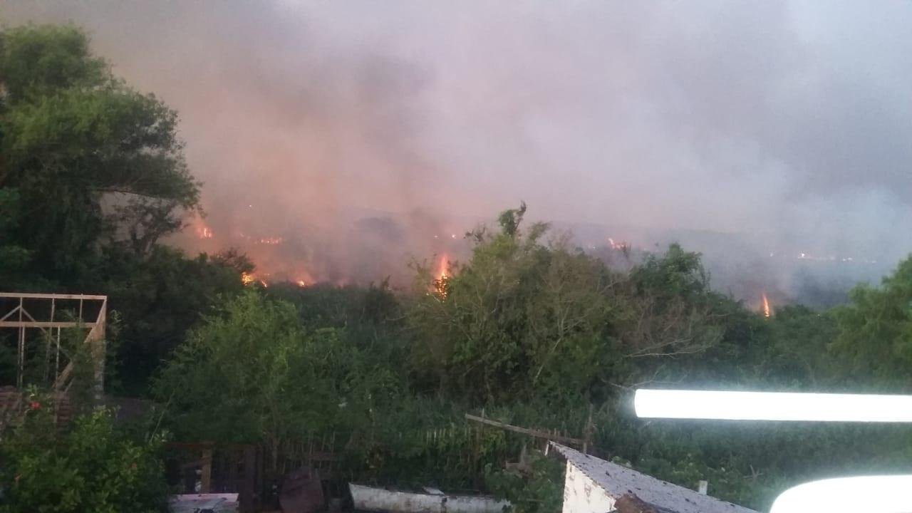 Inc&ecirc;ndio atingiu &aacute;rea de preserva&ccedil;&atilde;o ambiental