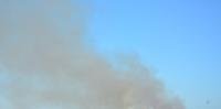 Incêndio em área de preservação em Eldorado do Sul pode ter sido criminoso 