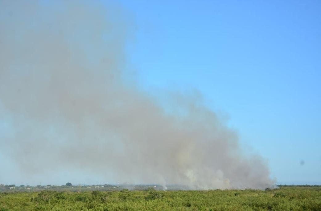 Inc&ecirc;ndio em &aacute;rea de preserva&ccedil;&atilde;o em Eldorado do Sul pode ter sido criminoso 