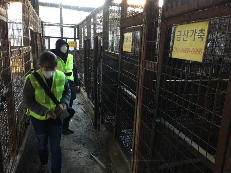 Matadouro de c&atilde;es foi fechado nesta quinta-feira, na Coreia do Sul
